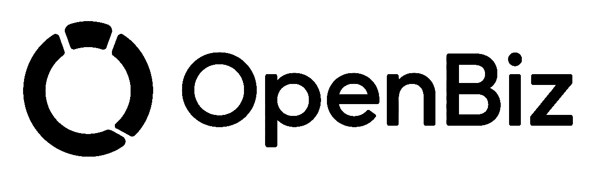 OpenBiz logo head